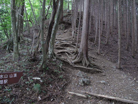 20150929hike (214)